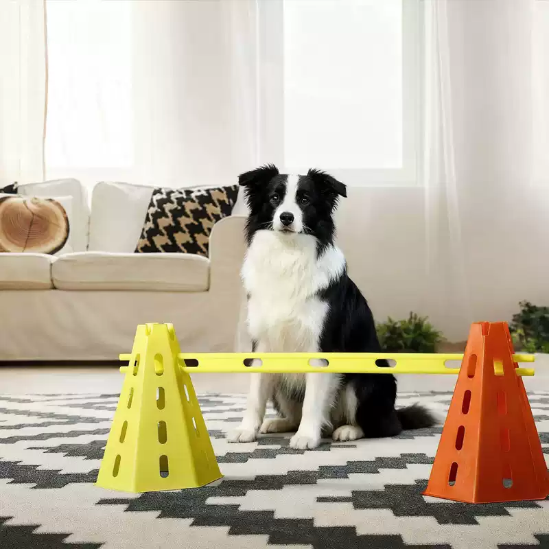 30CM Honden Agility Obstakelse - Agility Hurdle Set recensie en prijs