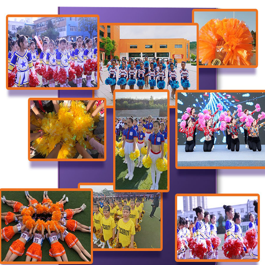 1 Stuks Metallic Huisdier Chee - Cheerleading Pom Pom recensie en prijs