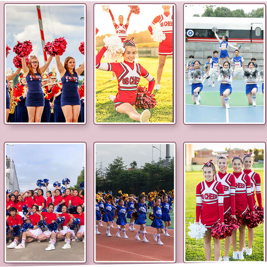 1 Stuks Metallic Huisdier Chee - Cheerleading Pom Pom recensie en prijs
